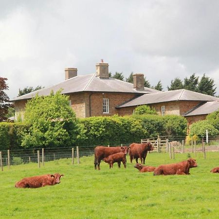 Bed and Breakfast Seawell à Towcester Extérieur photo